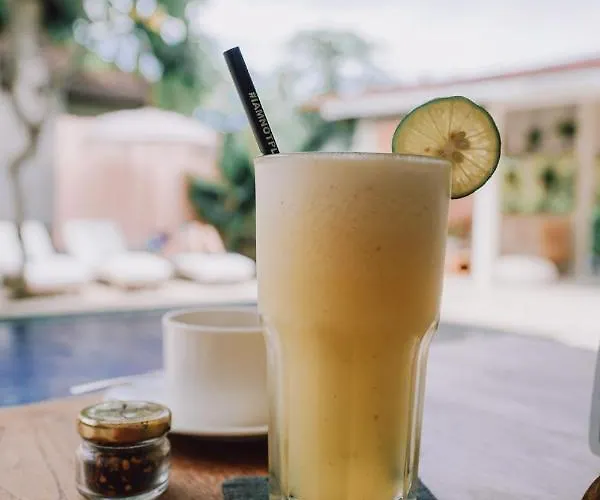 The Chillhouse By Bvr Bali 3* チャングー